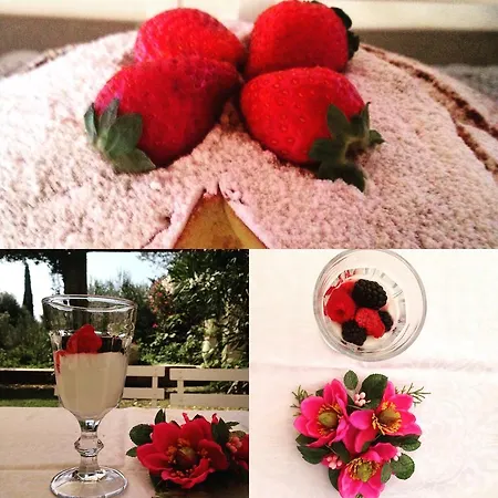 Relais Castei Del Garda * 加尔达