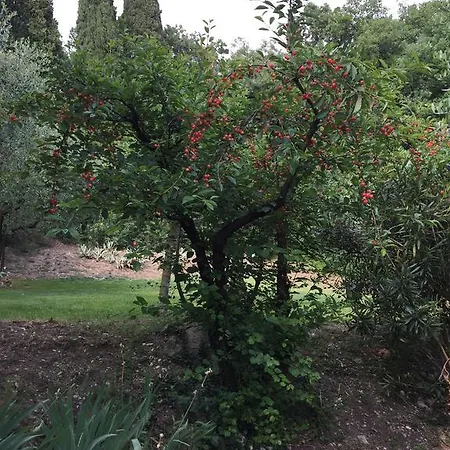 Relais Castei Del Garda Frühstückspension Garda (Verona)