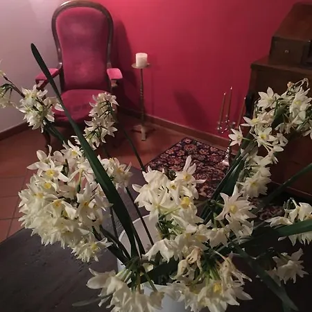 Bed & Breakfast Relais Castei Del Garda *