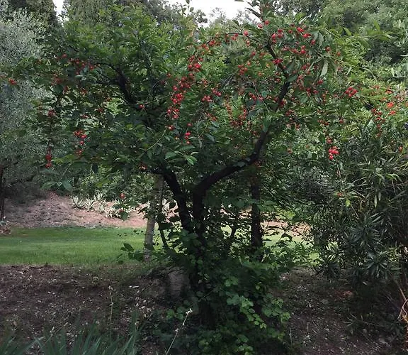 Relais Castei Del Garda Panzió Garda